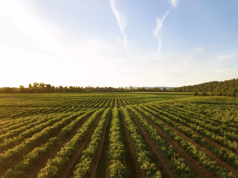Fertilizantes e Corretivos